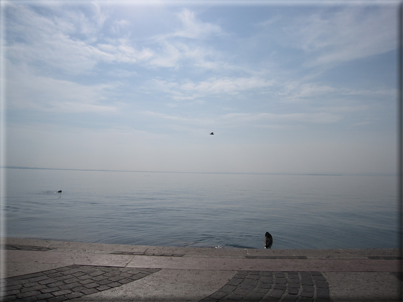 foto Lazise